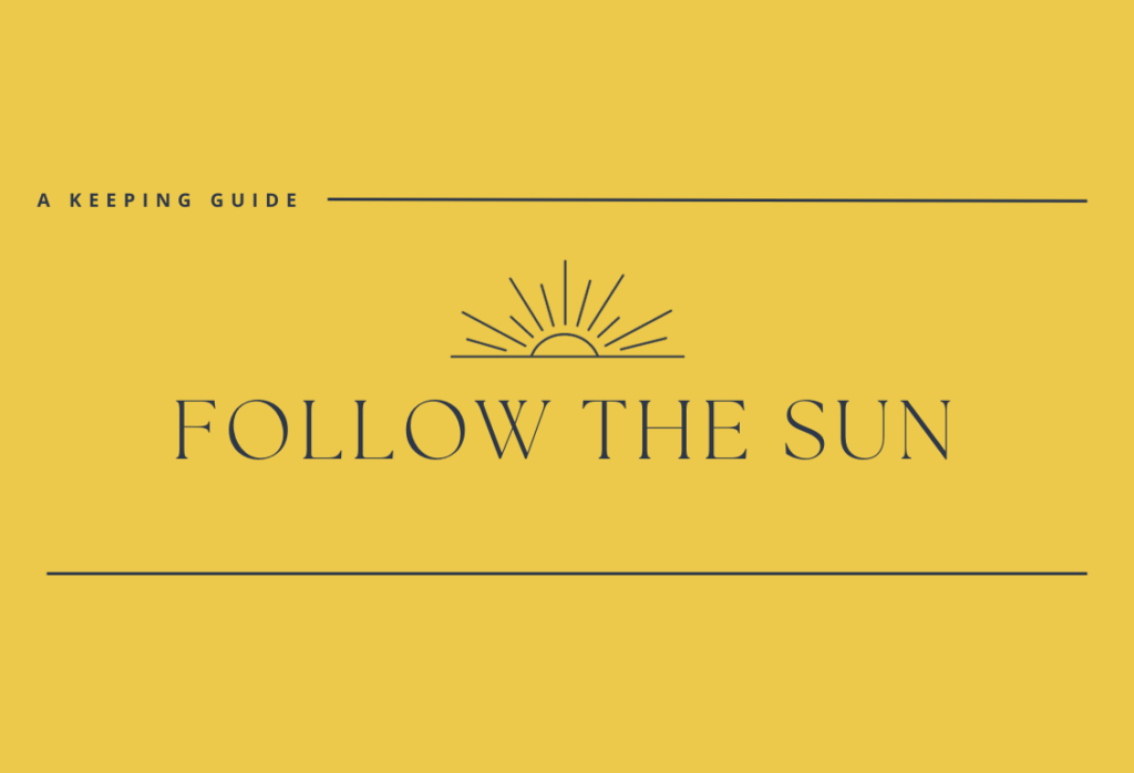 Follow the Sun Model Explained