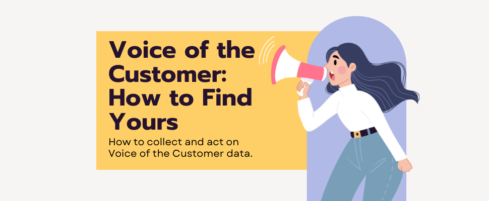 Voice of the Customer How to Find Yours