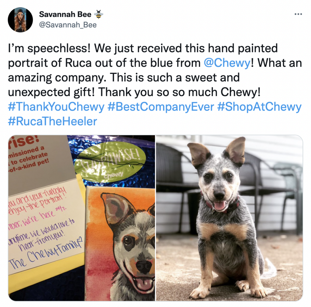 Thank you from Chewy's